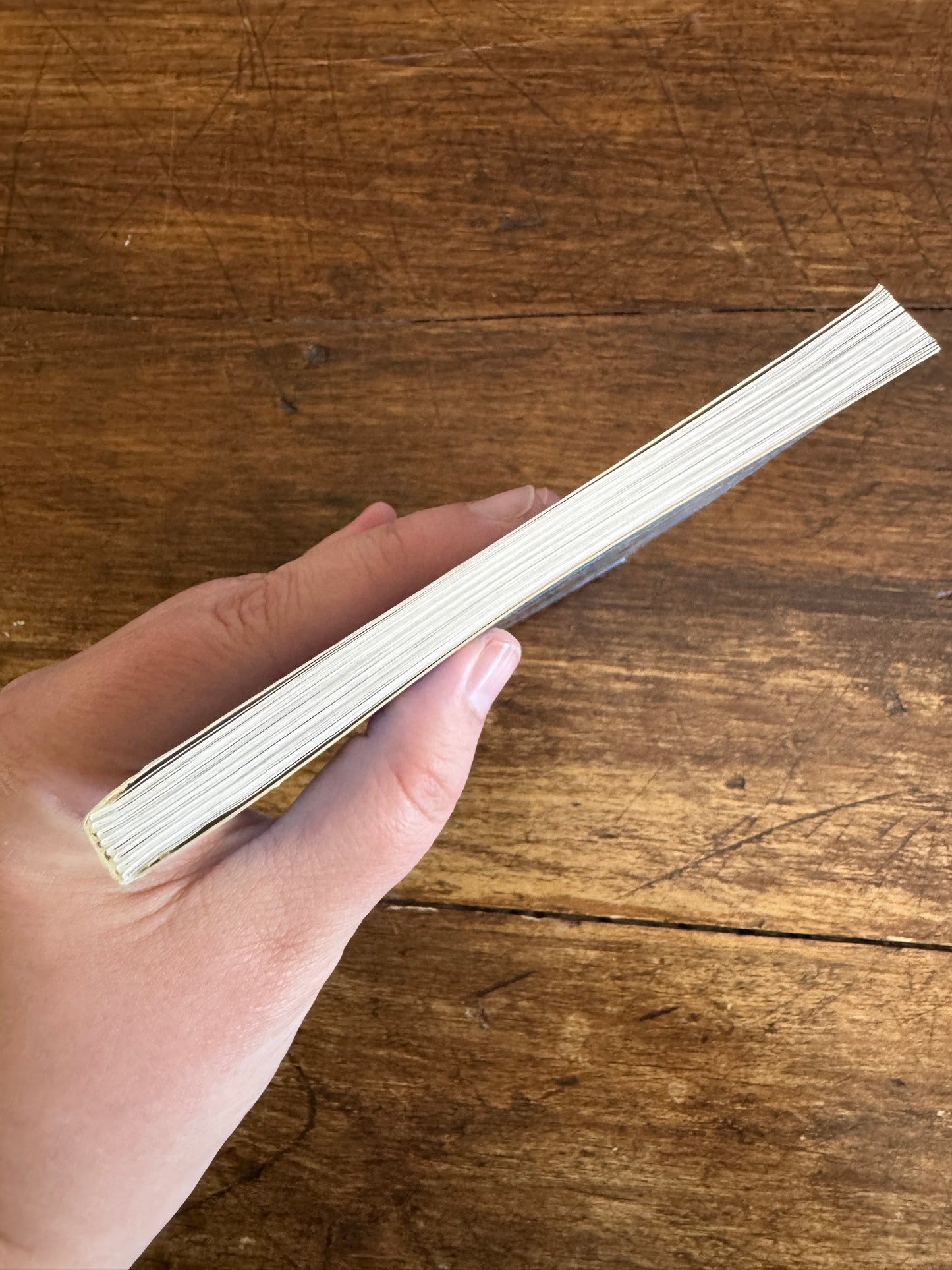 North American Birds Pocket Guide Book by Andrew Cleave