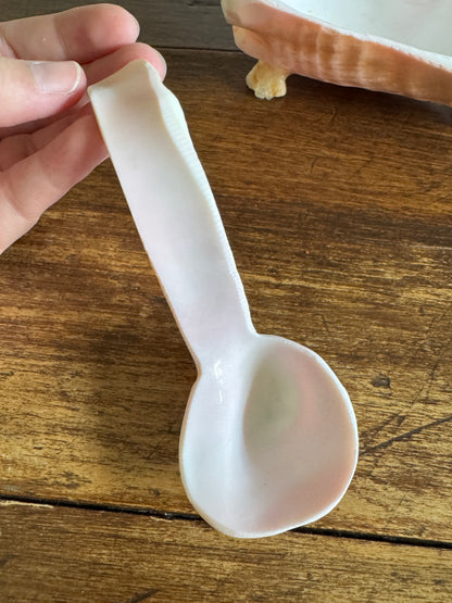 Carved Conch Shell Dish with Shell Spoon - Mermaid Dining Set