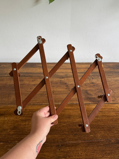 Vintage Expandable Brown Accordion Peg Rack