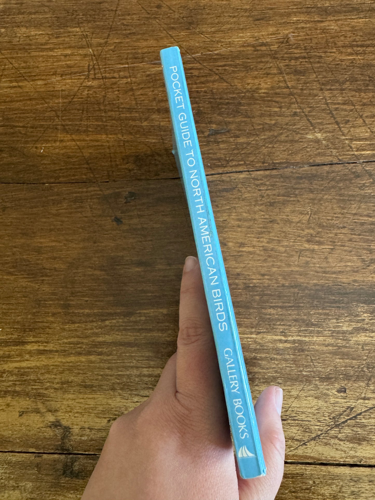 North American Birds Pocket Guide Book by Andrew Cleave