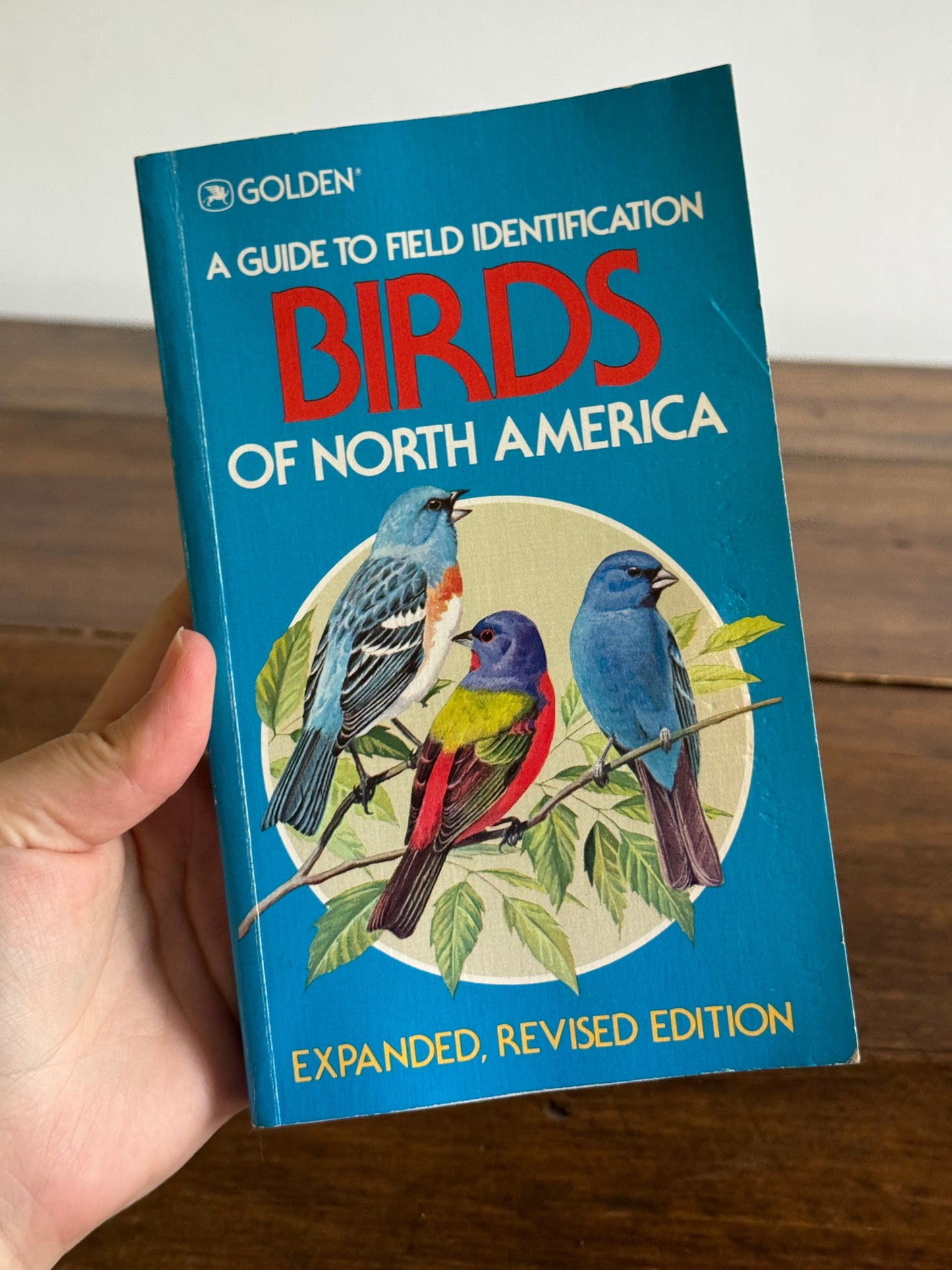 North American Birds Pocket Guide Book - Golden Books