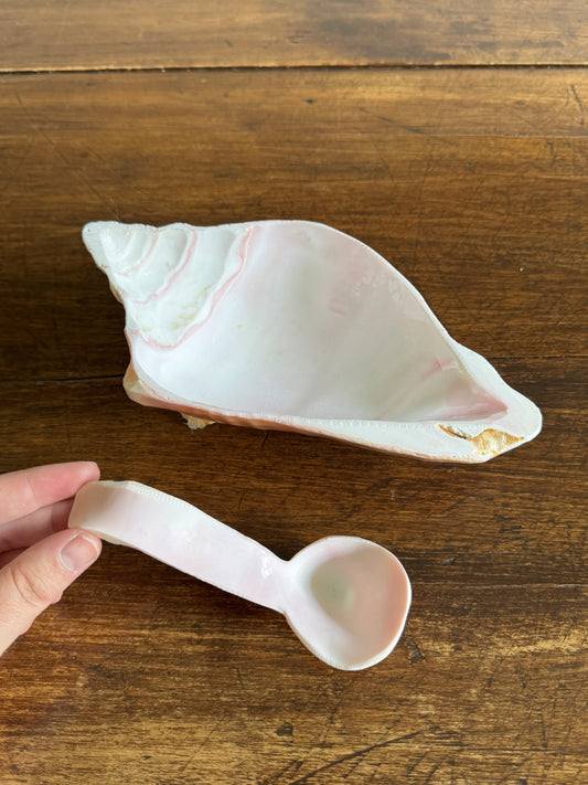 Carved Conch Shell Dish with Shell Spoon - Mermaid Dining Set