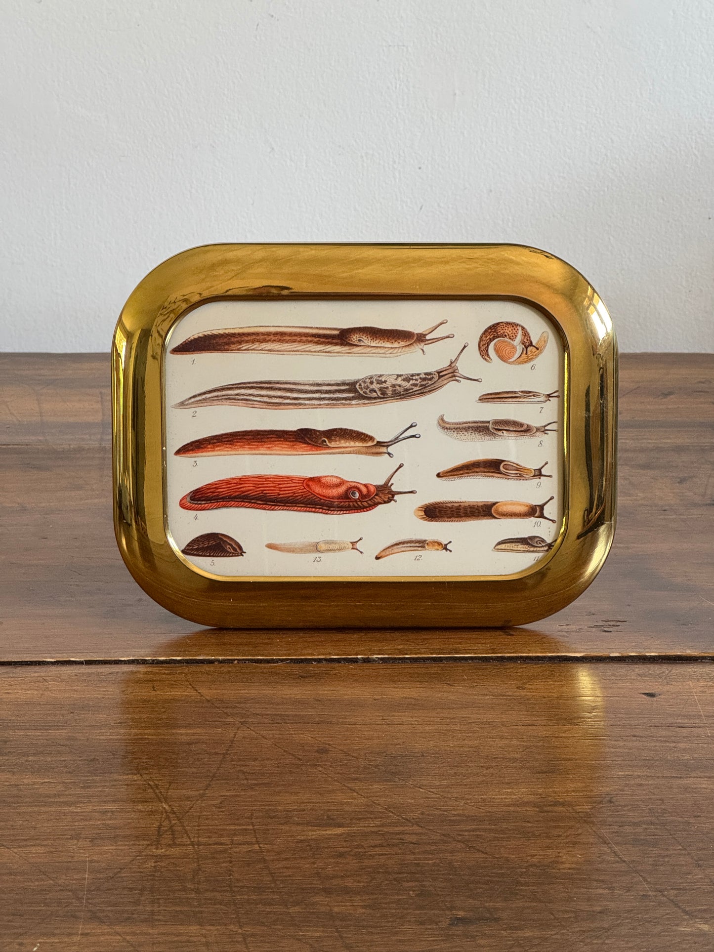 Medium Rounded Brass Frame and Slug Art Print