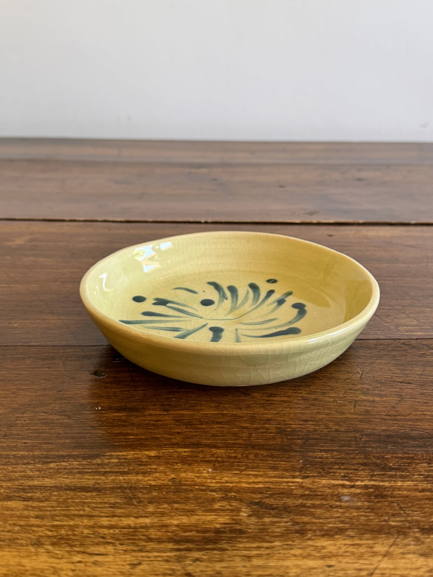 Green and Blue Firework Print Shallow Pottery Bowl