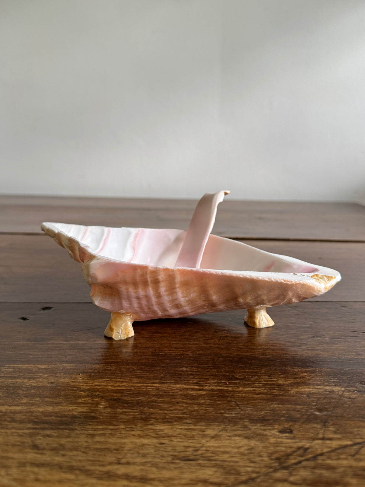 Carved Conch Shell Dish with Shell Spoon - Mermaid Dining Set
