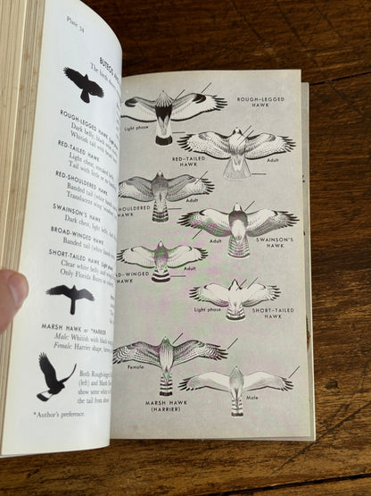 Field Guide to the Birds Reference Book - Eastern Land and Water Birds by Roger Tory Peterson