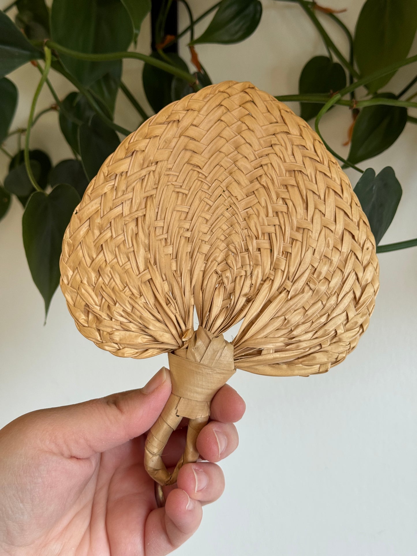 Vintage Lot of Natural Woven Hand Fan Wall Decor - Handheld Boho Mini Fans
