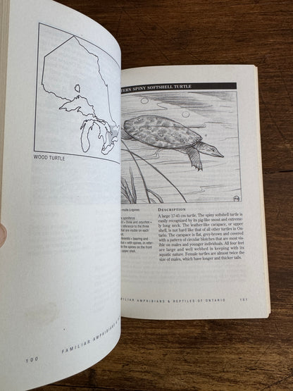 Amphibian and Reptiles of Ontario Reference Book by Bob Johnson