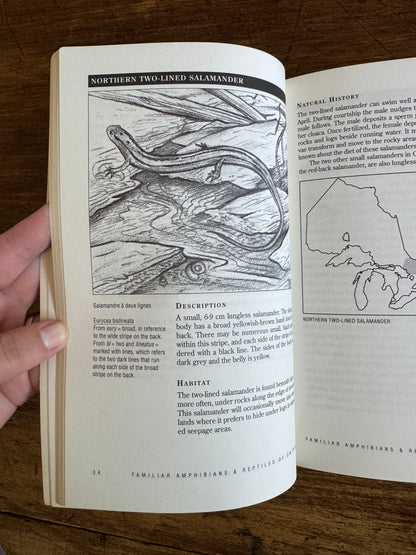 Amphibian and Reptiles of Ontario Reference Book by Bob Johnson