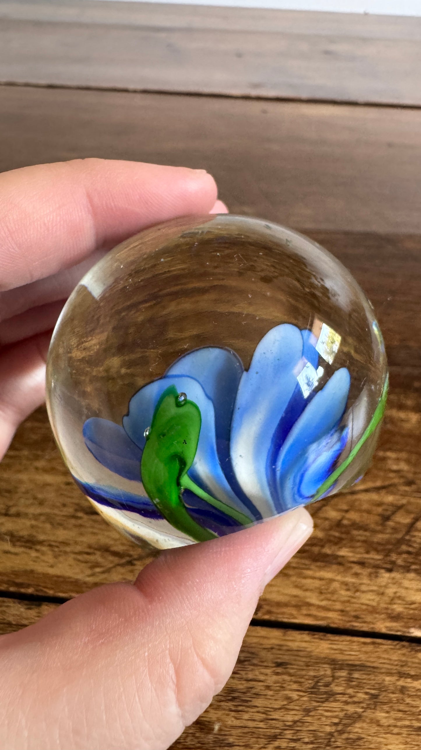 Blue Flower Glass Paperweight