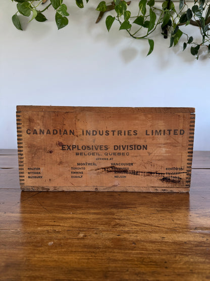 Polar Dynamite Wooden Vintage Crate