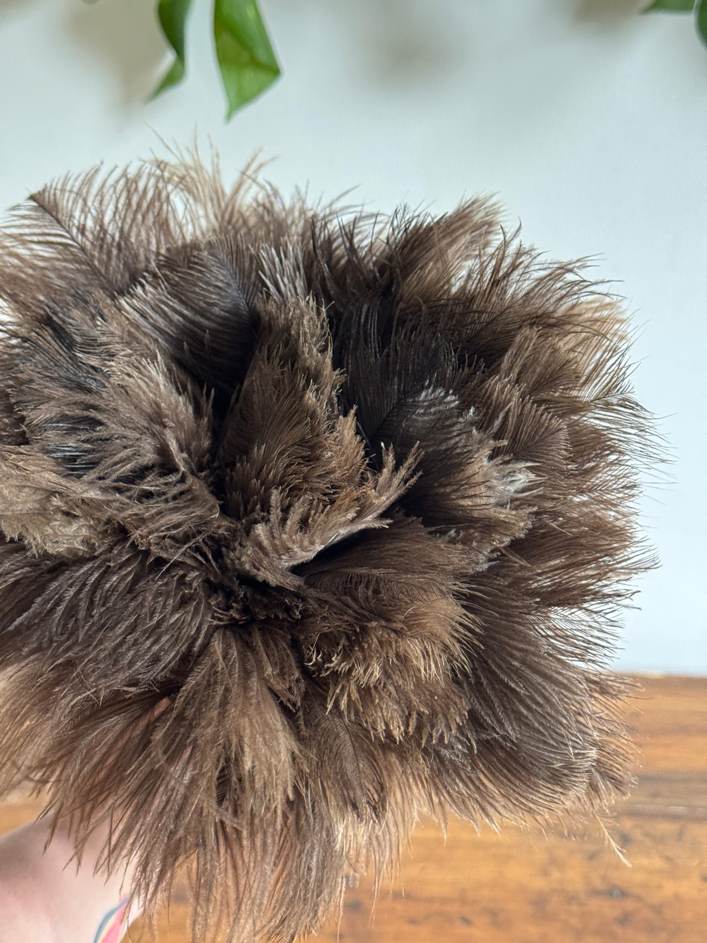 Vintage Real Feather Duster on Red Wood Handle