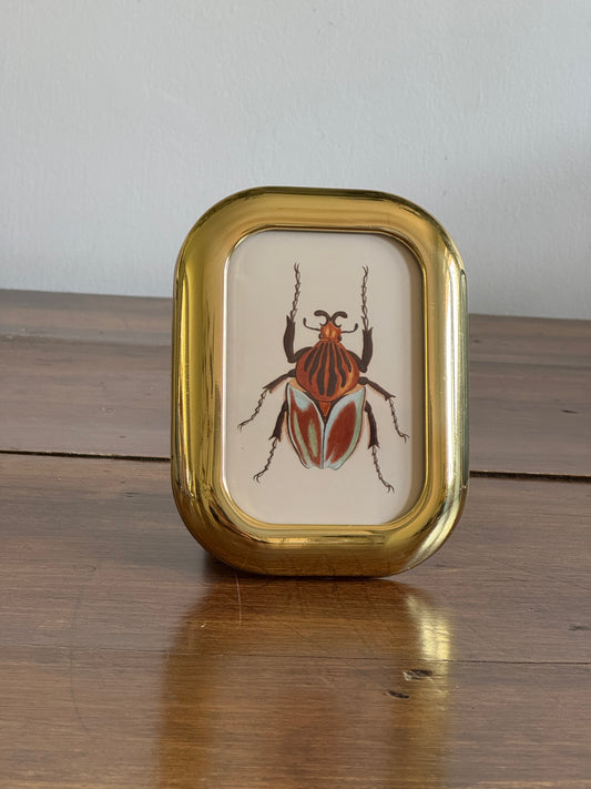 Small Rounded Brass Frame and Beetle Art Print