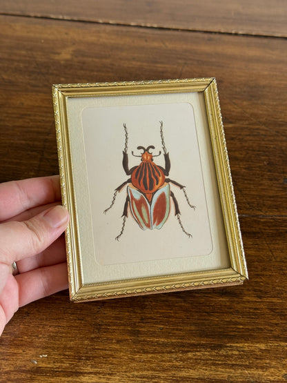 Small Brass Frame with Matte and Beetle Art Print