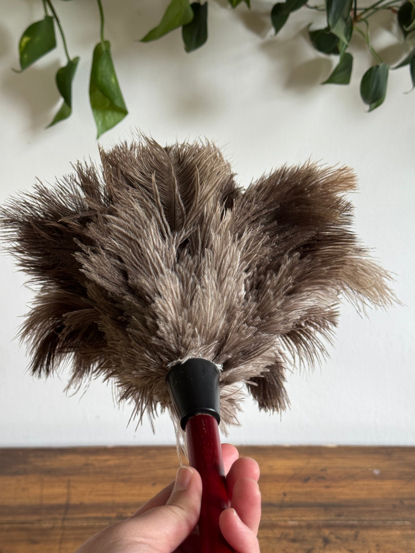 Vintage Real Feather Duster on Red Wood Handle