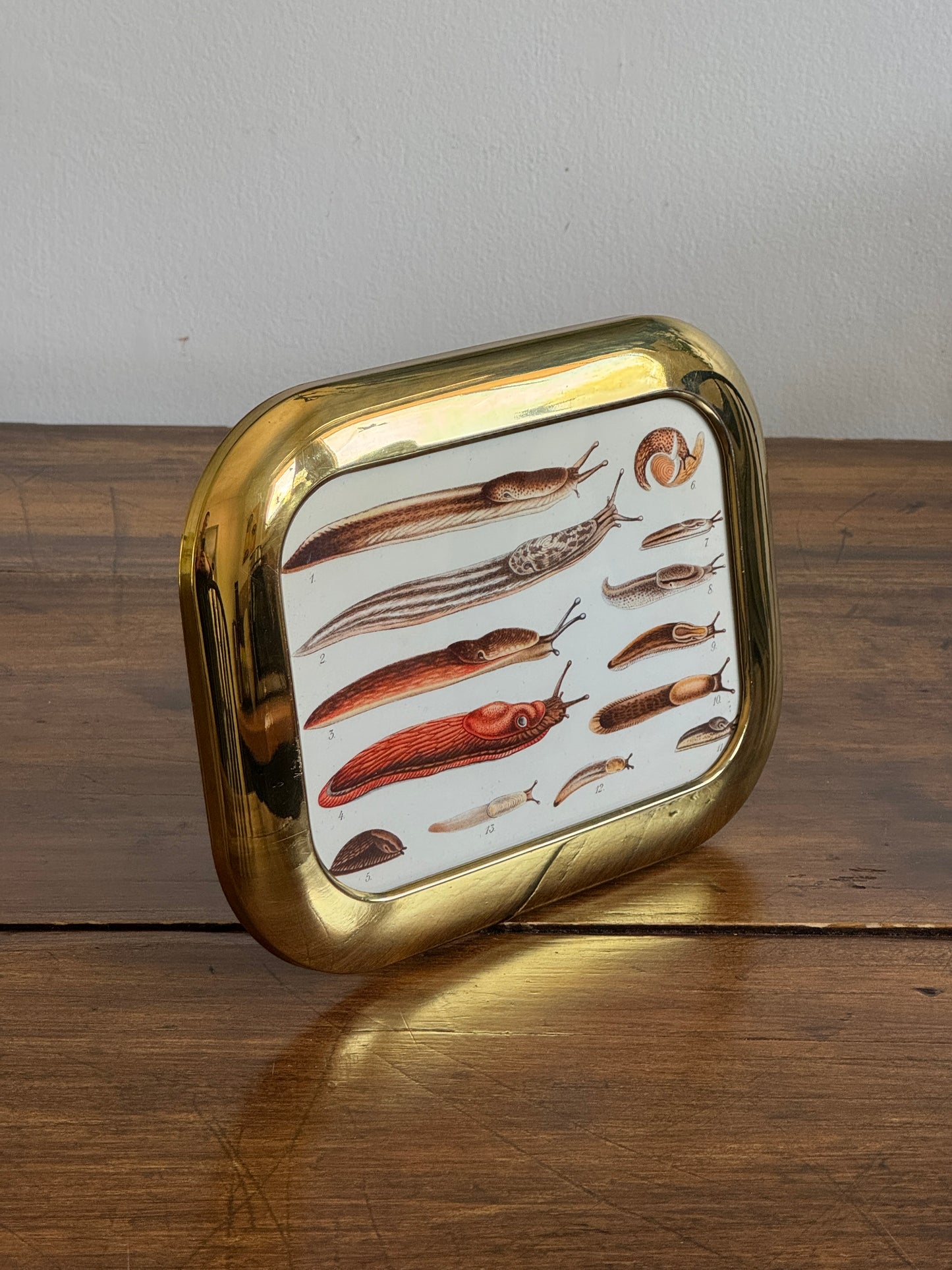 Medium Rounded Brass Frame and Slug Art Print