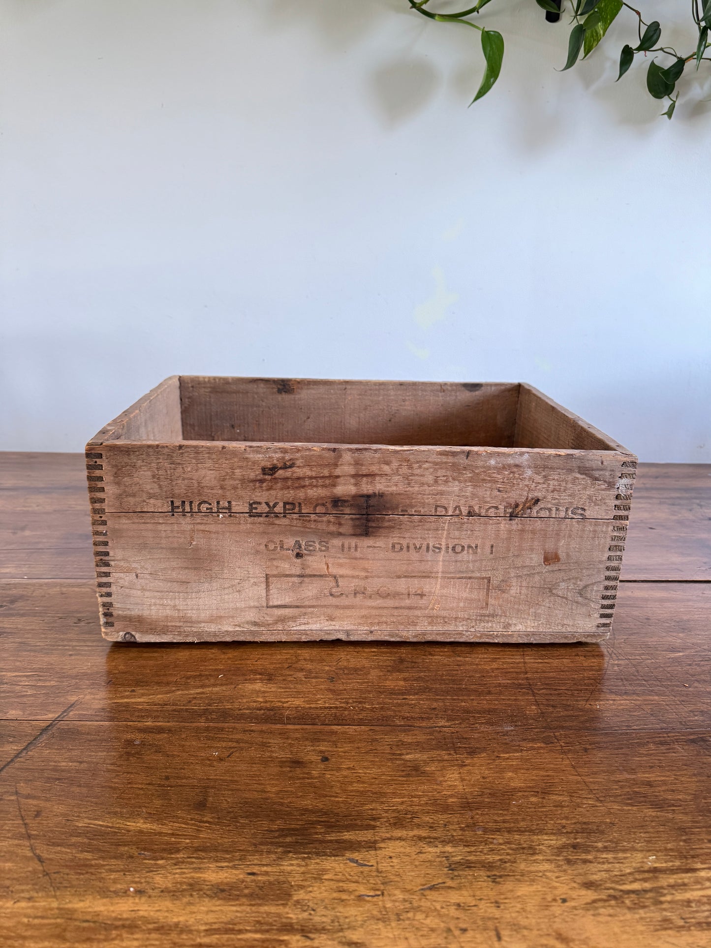 Polar Forcite Gelatin Wooden Crate
