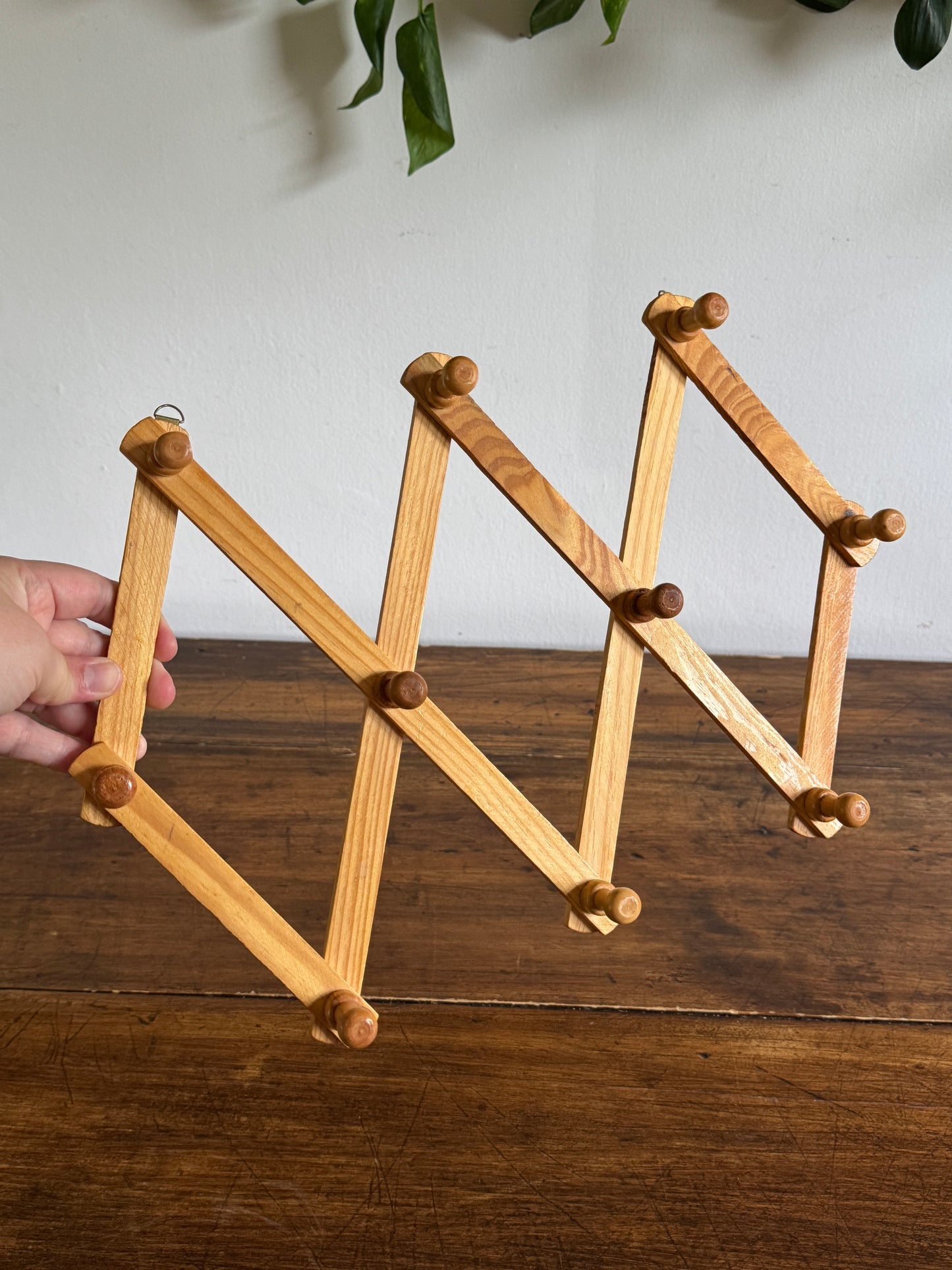 Vintage Expandable Blonde Accordion Peg Rack