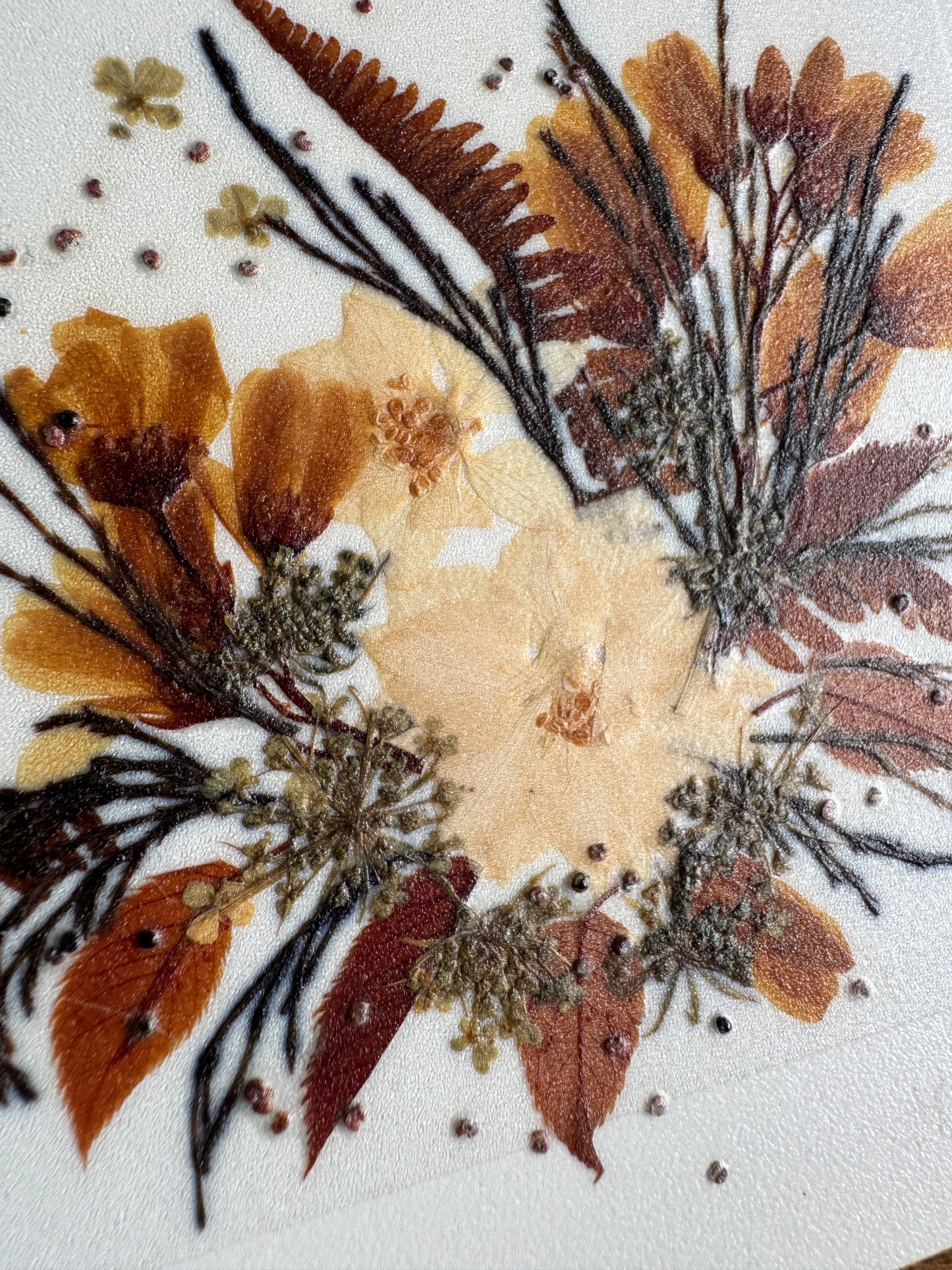 Vintage Henni Original Small Square Pressed Flower Art