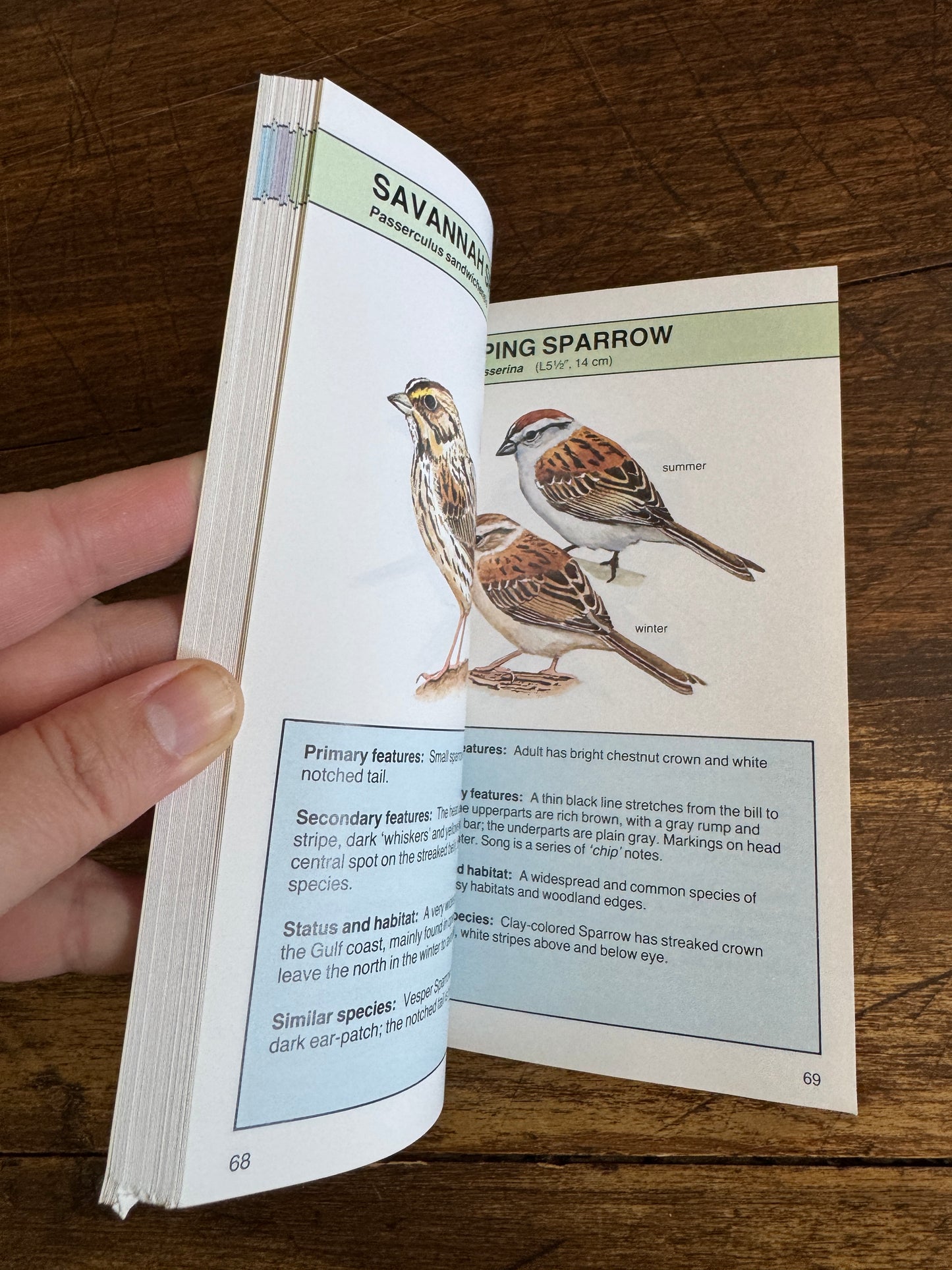 North American Birds Pocket Guide Book by Andrew Cleave
