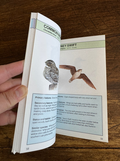 North American Birds Pocket Guide Book by Andrew Cleave