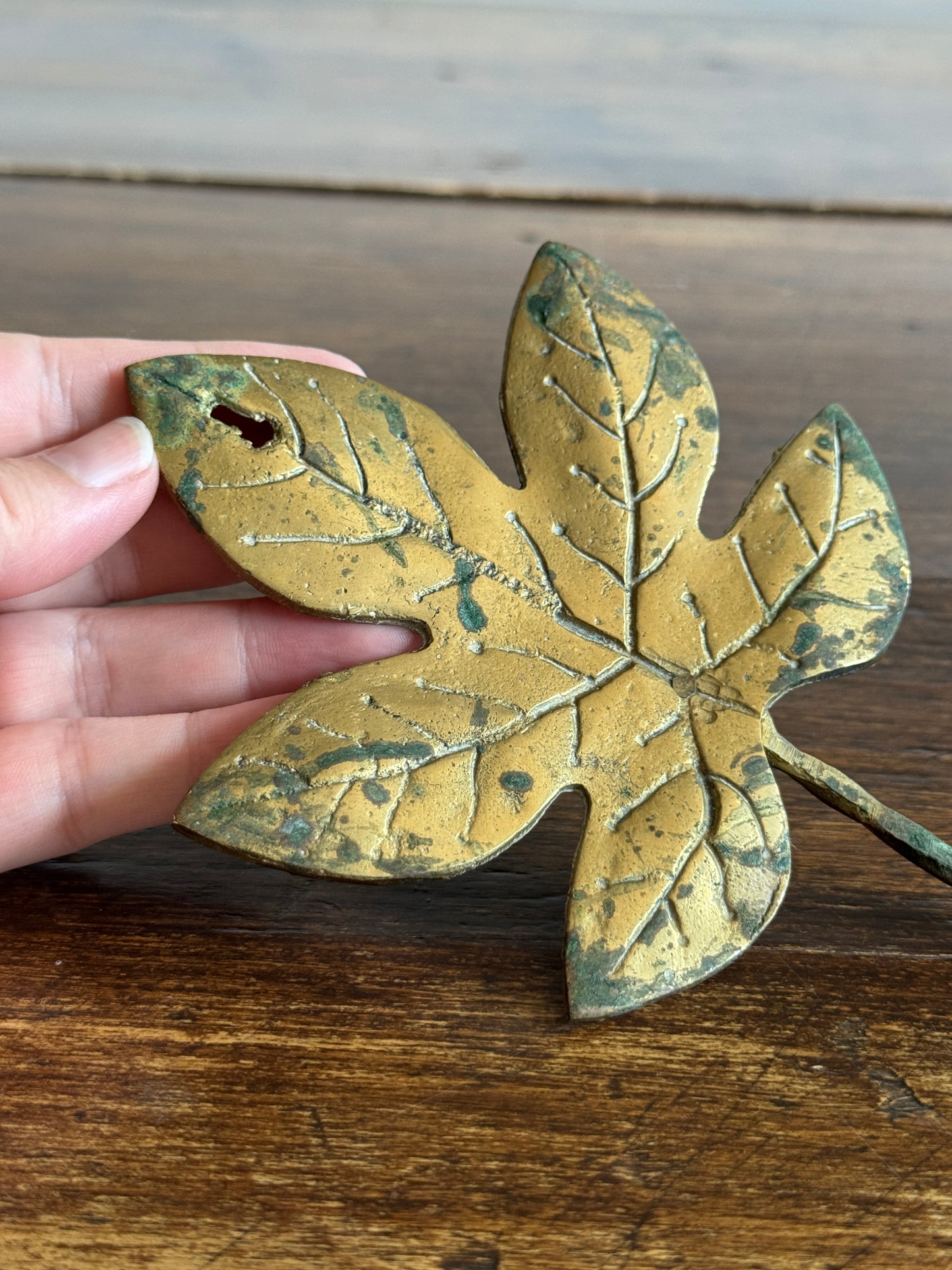 Vintage Cast Brass Leaf Hook with Swirled Hanger