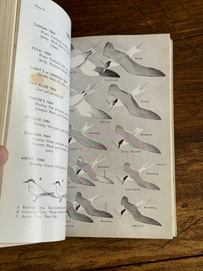 Field Guide to the Birds Reference Book - Eastern Land and Water Birds by Roger Tory Peterson