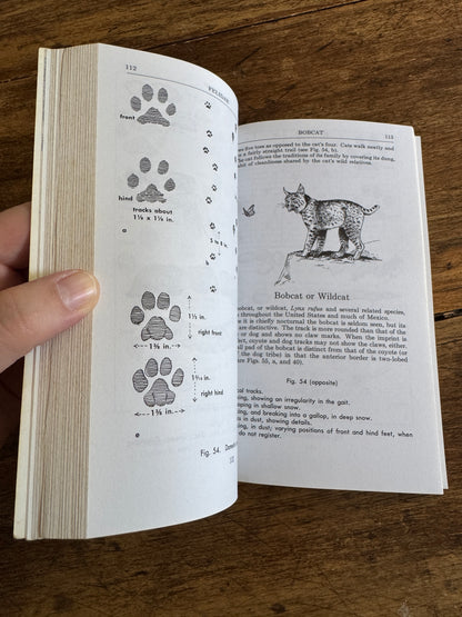 Peterson Field Guide Animal Tracks Guide Book by Olaus J. Murie - Second Edition Printed USA