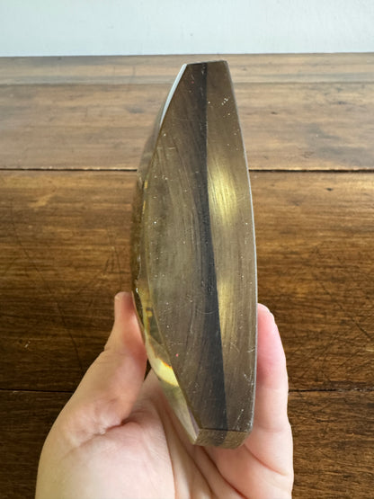 Shell Fossil on Stone with Lichen in Lucite/Acrylic Specimen Paperweight