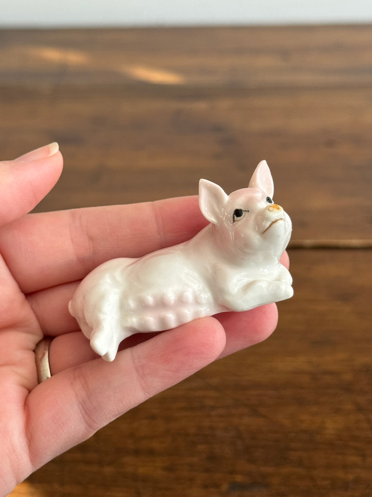 Vintage Bone China Miniature Piggies and Momma - Pig and Piglet Set