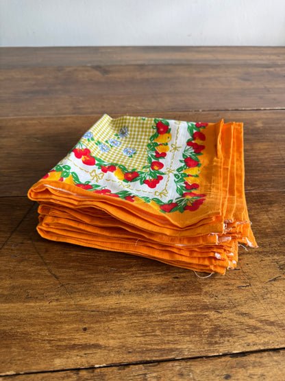 Colourful Fruit and Flowers Cloth Picnic Napkins - Set of 12