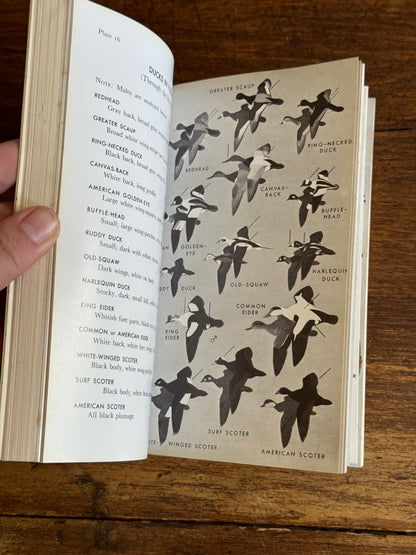 Field Guide to the Birds Reference Book - Eastern Land and Water Birds by Roger Tory Peterson