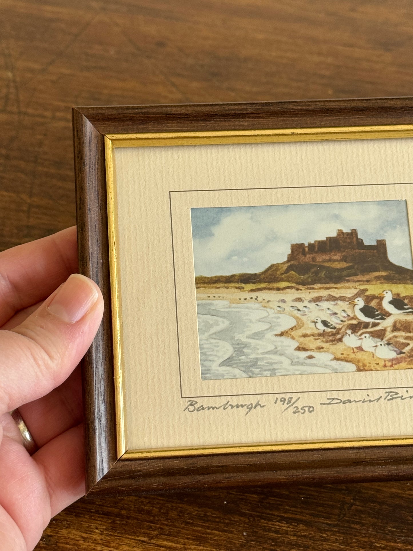 Vintage Small Bird Print in Frame "Bamburgh" by David Binns 198/250