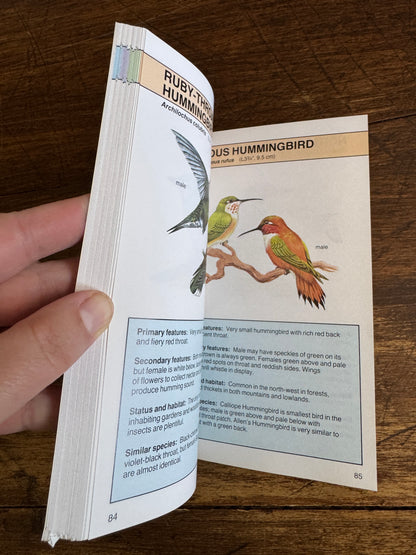 North American Birds Pocket Guide Book by Andrew Cleave
