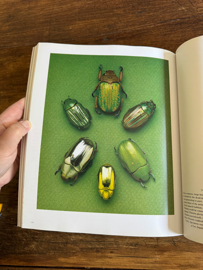 An Inordinate Fondness for Beetles Book by Evans and Bellamy 2000 - Printed in PR China