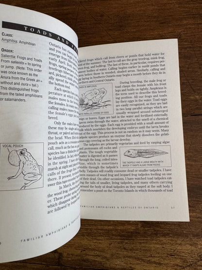 Amphibian and Reptiles of Ontario Reference Book by Bob Johnson