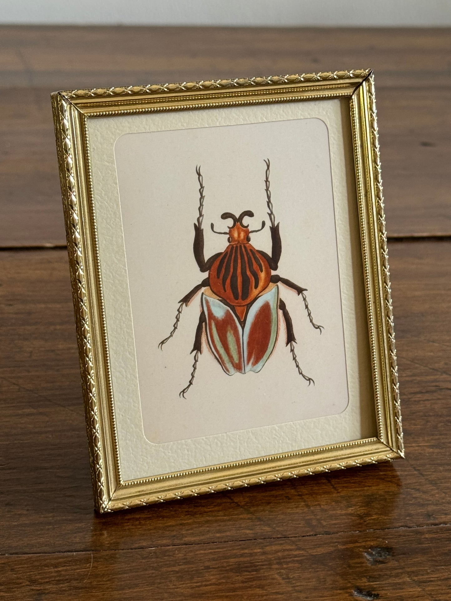 Small Brass Frame with Matte and Beetle Art Print