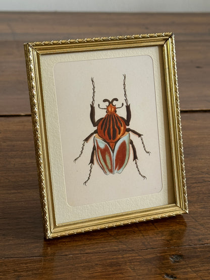 Small Brass Frame with Matte and Beetle Art Print