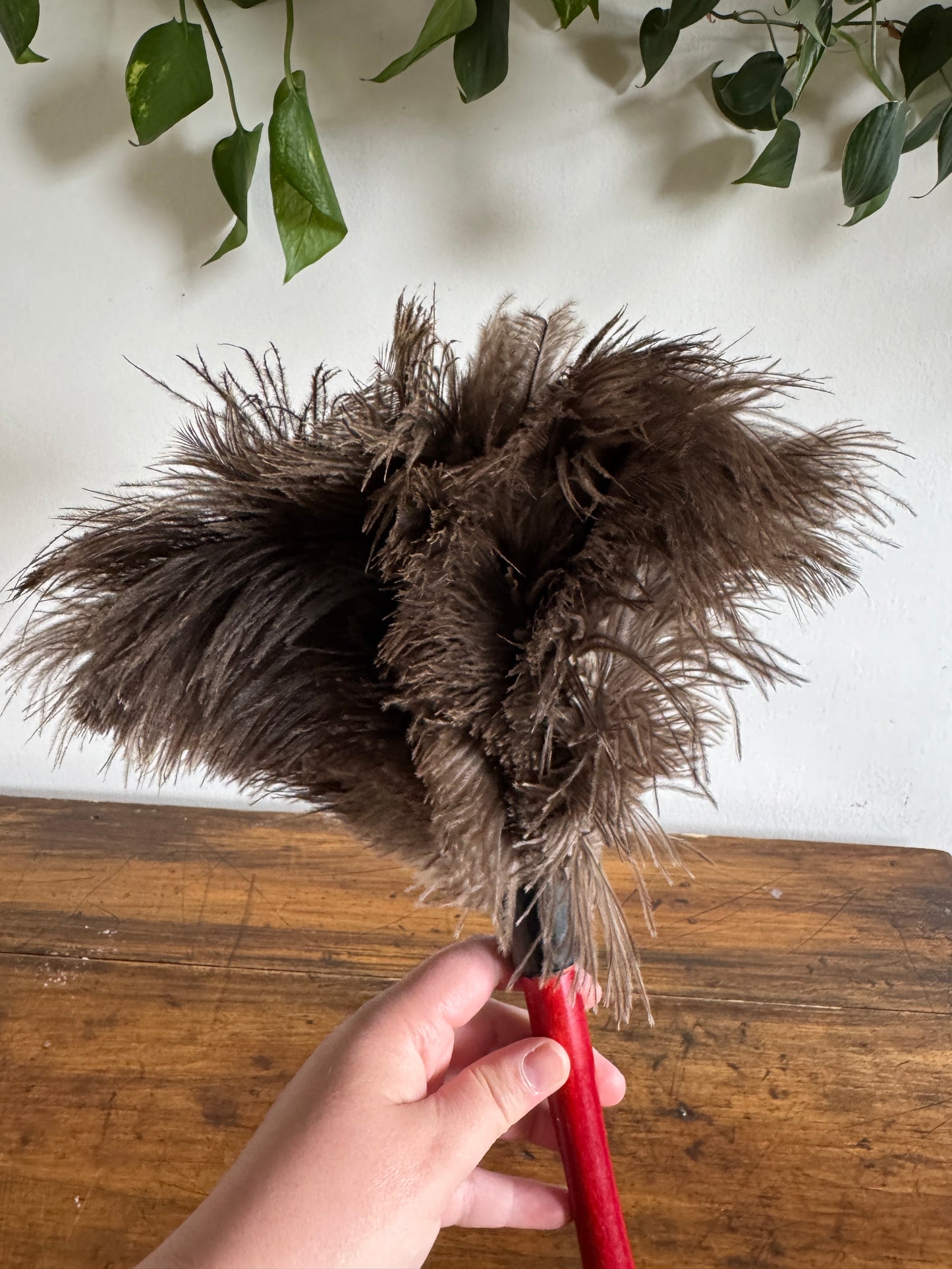 Vintage Real Feather Duster on Red Wood Handle