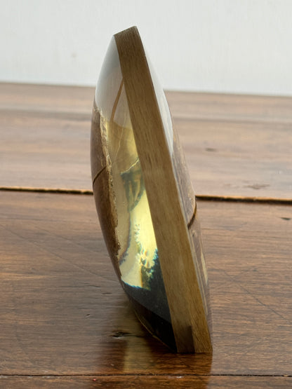 Shell Fossil on Stone with Lichen in Lucite/Acrylic Specimen Paperweight