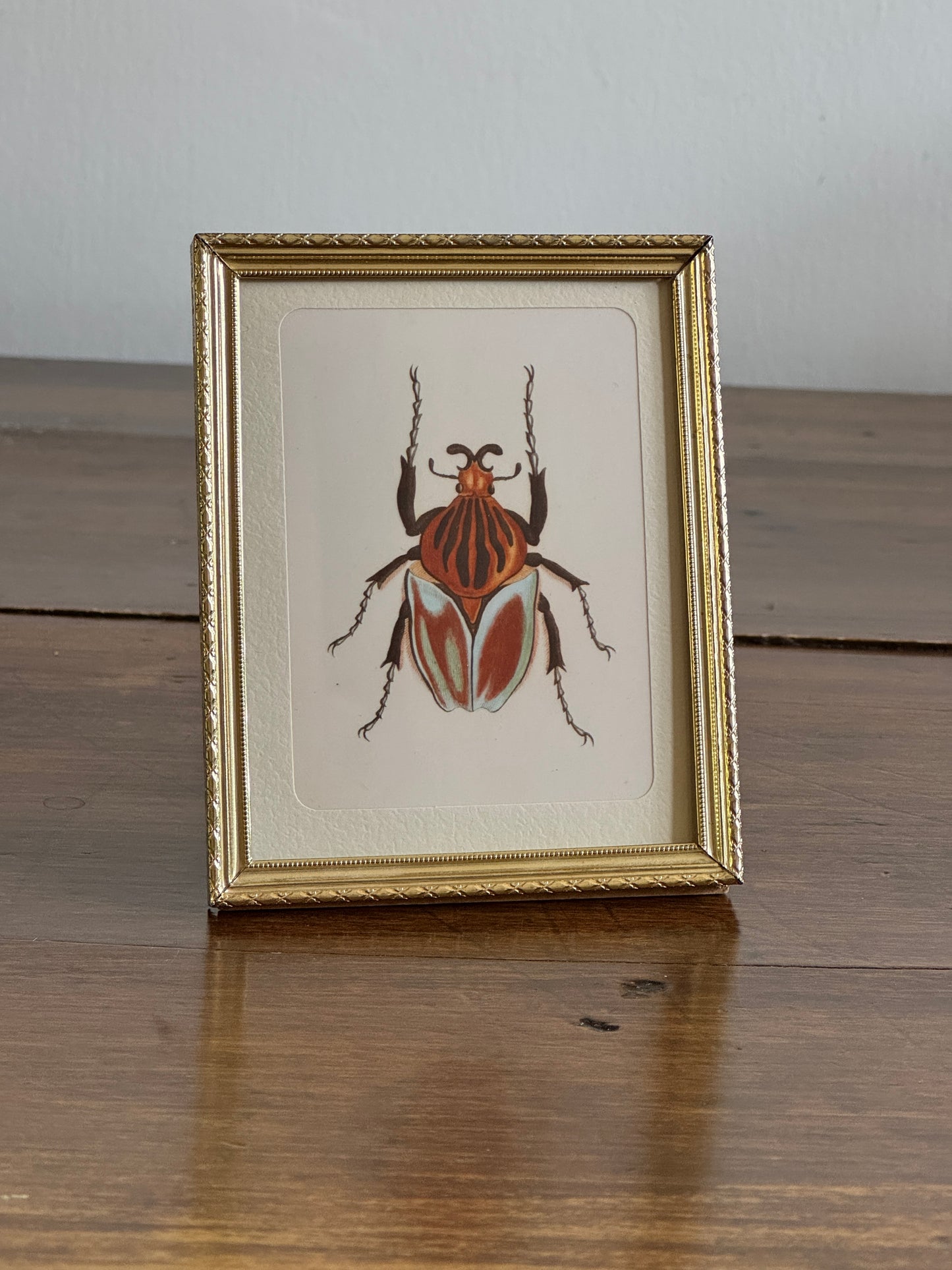 Small Brass Frame with Matte and Beetle Art Print