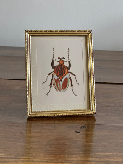 Small Brass Frame with Matte and Beetle Art Print