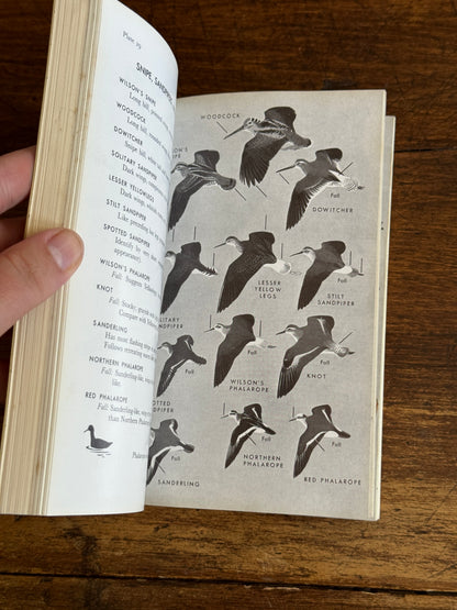 Field Guide to the Birds Reference Book - Eastern Land and Water Birds by Roger Tory Peterson