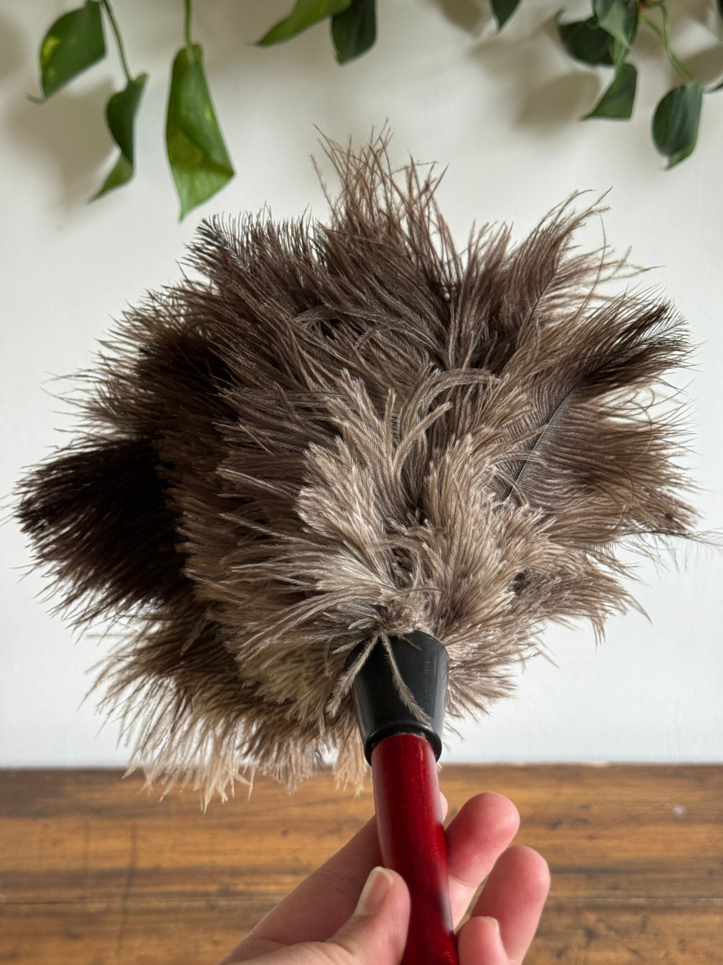Vintage Real Feather Duster on Red Wood Handle