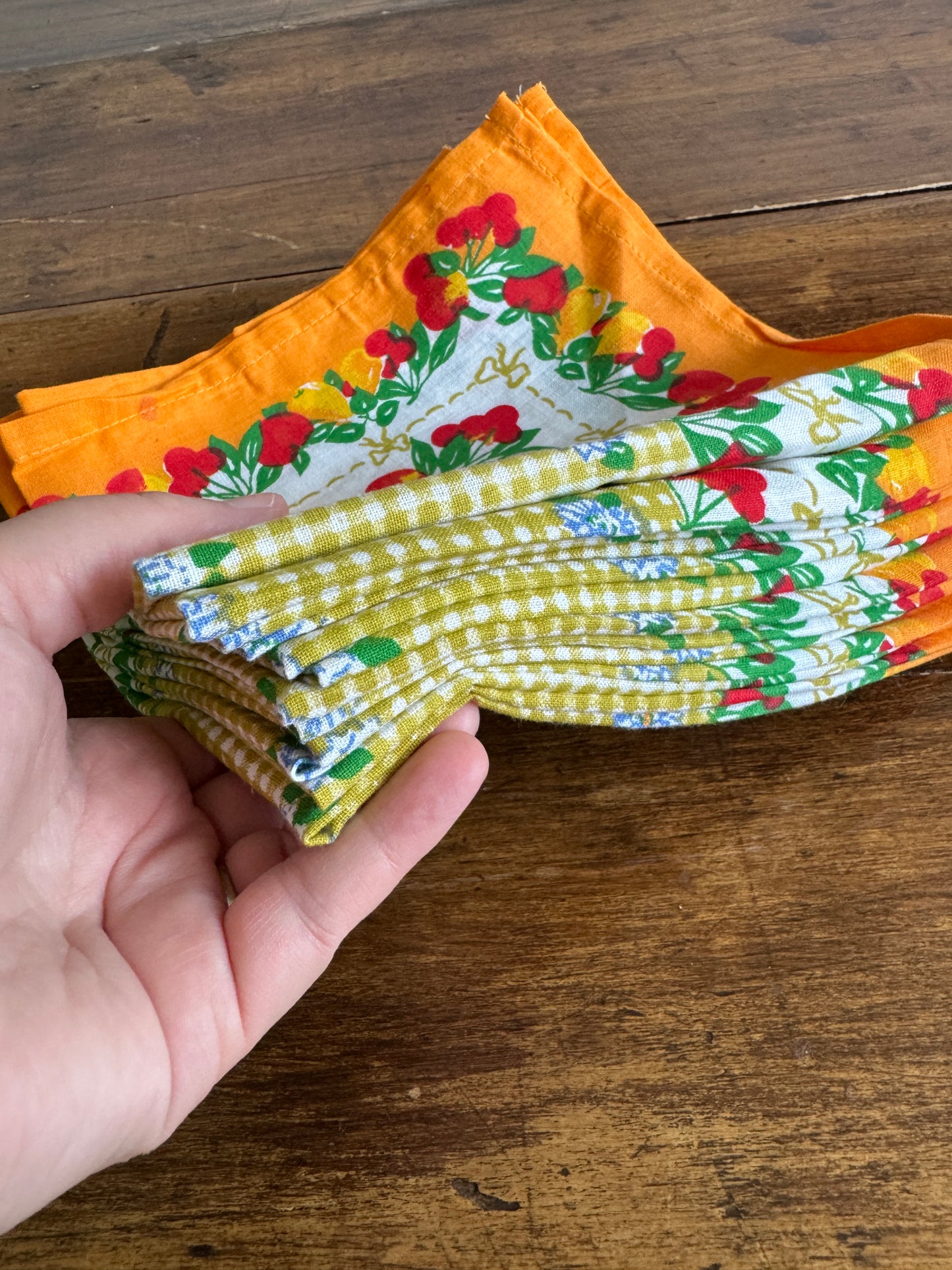 Colourful Fruit and Flowers Cloth Picnic Napkins - Set of 12