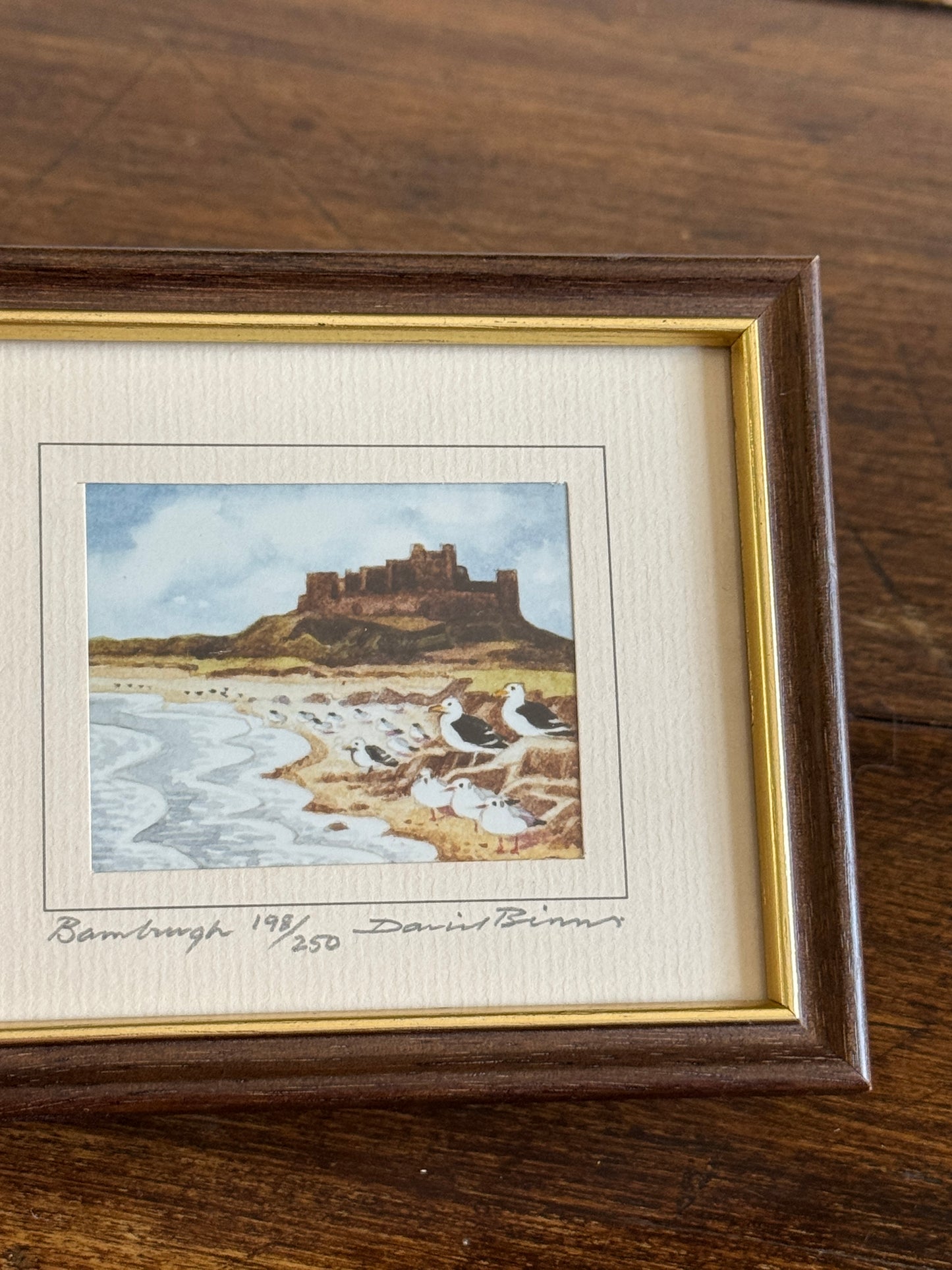 Vintage Small Bird Print in Frame "Bamburgh" by David Binns 198/250