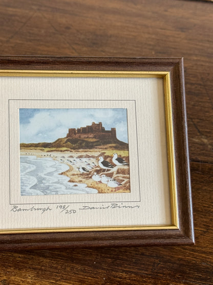 Vintage Small Bird Print in Frame "Bamburgh" by David Binns 198/250