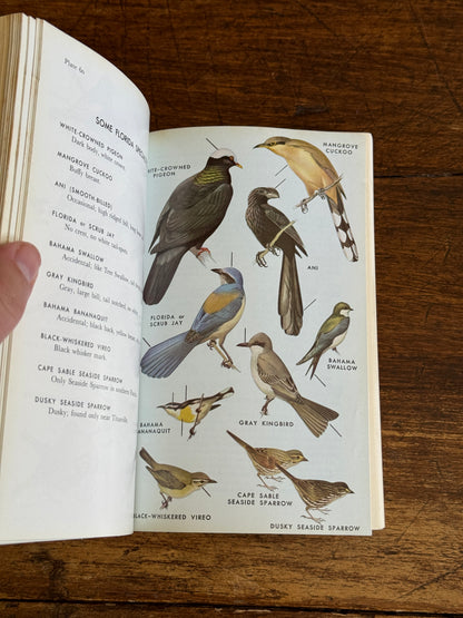 Field Guide to the Birds Reference Book - Eastern Land and Water Birds by Roger Tory Peterson