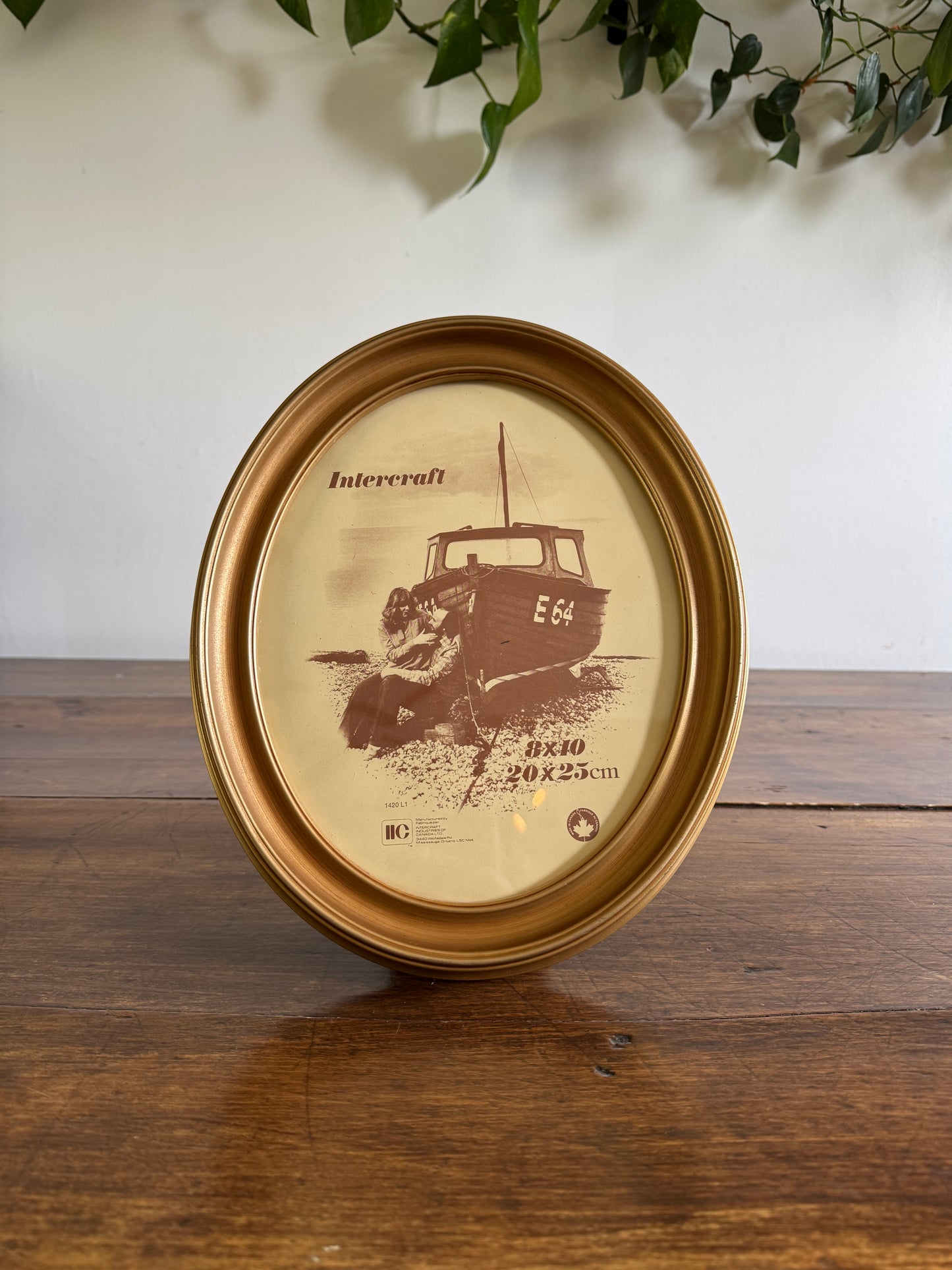 Vintage Plastic 8x10 Oval Photo Frame