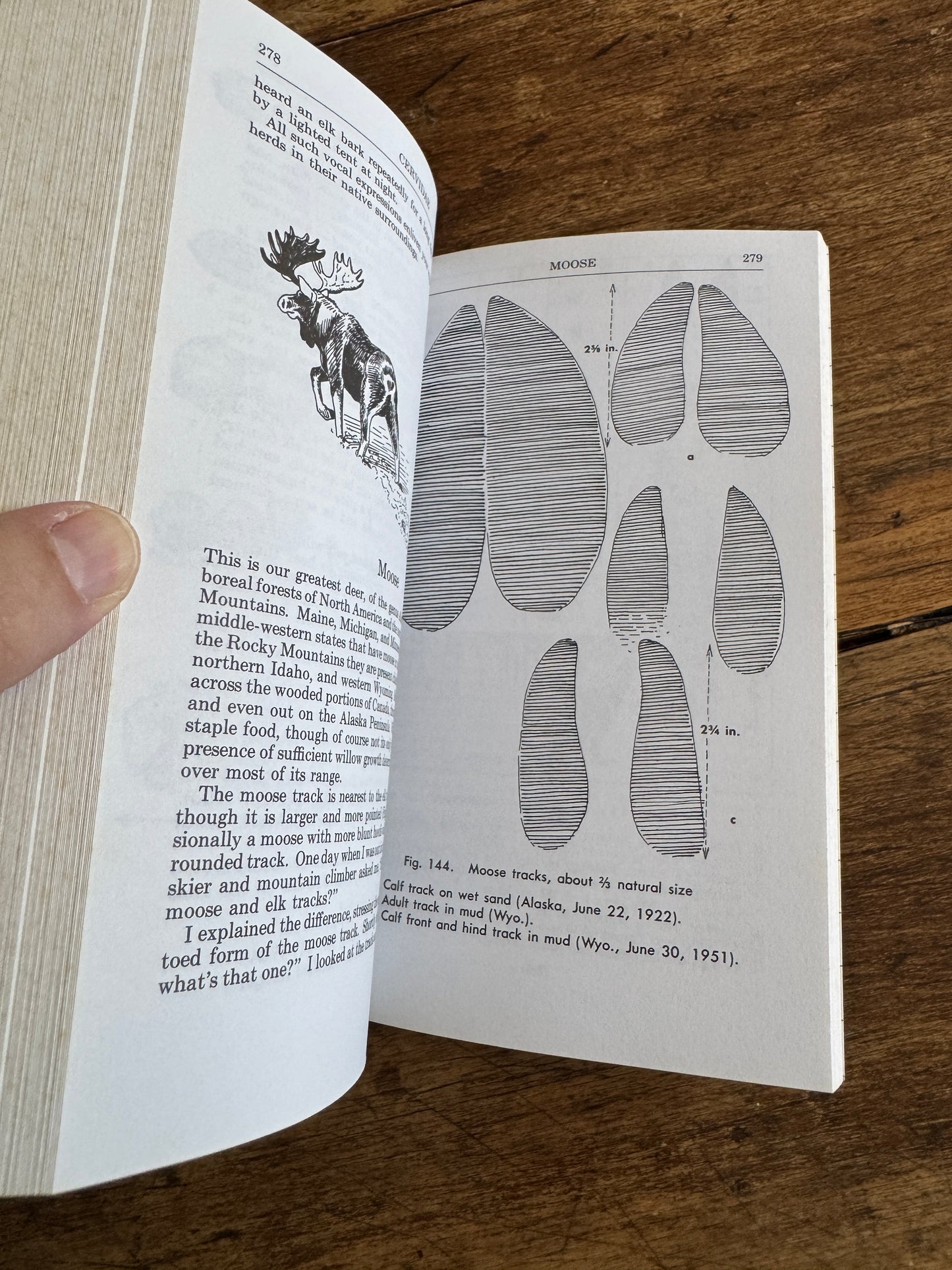 Peterson Field Guide Animal Tracks Guide Book by Olaus J. Murie - Second Edition Printed USA
